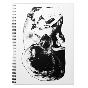 Notes with Two Friends Notebook