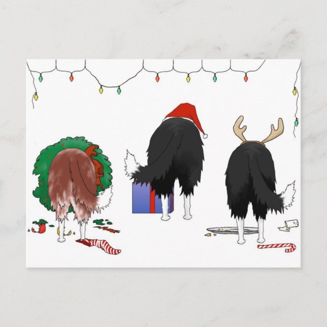 Nothin' Butt A Border Collie Christmas Holiday Postcard (Front)