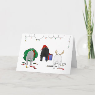 Nothin' Butt A Schnauzer Christmas Holiday Card