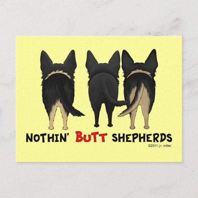 Nothin' Butt Shepherds Postcard (Front)