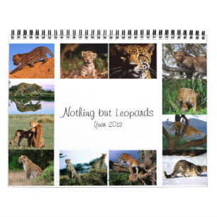 Nothing but Leopards - 2013 Calendar