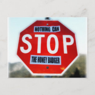 Nothing Can STOP th Honey Badger Postcard