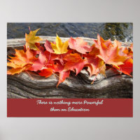 Nothing more Powerful than an Education art prints
