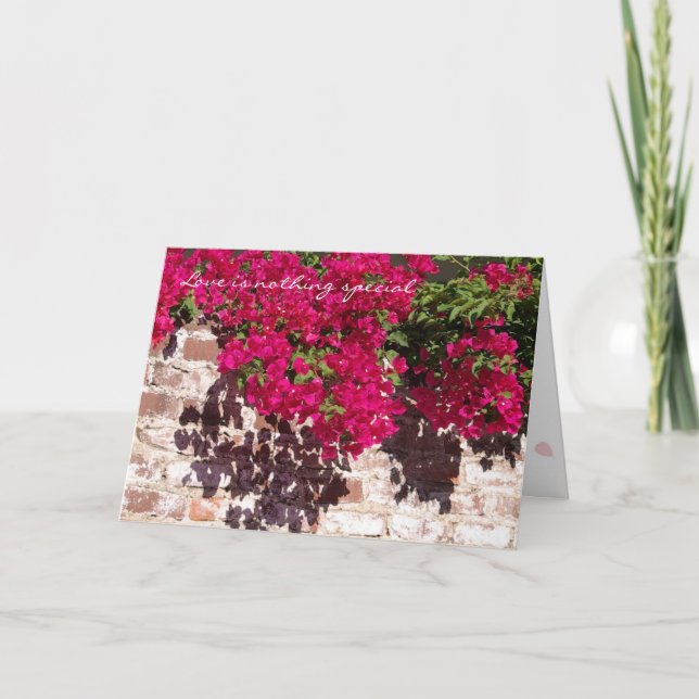 Nothing Special card (Front)