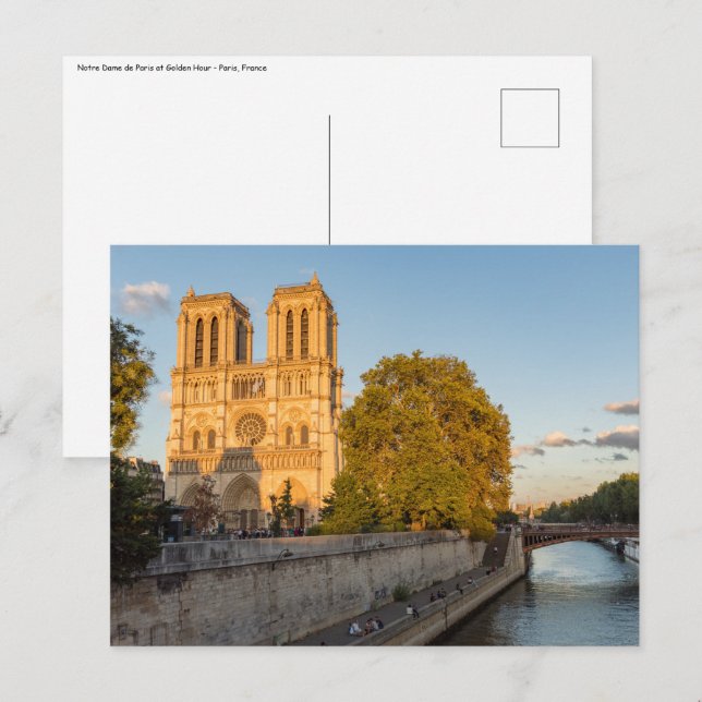 Notre Dame de Paris at Golden Hour - Paris, France Postcard (Front/Back)