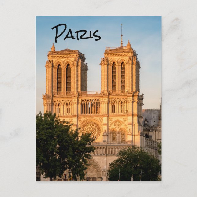 Notre Dame de Paris at Golden Hour - Paris, France Postcard (Front)