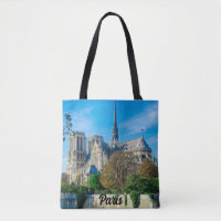 Notre Dame de Paris in France
