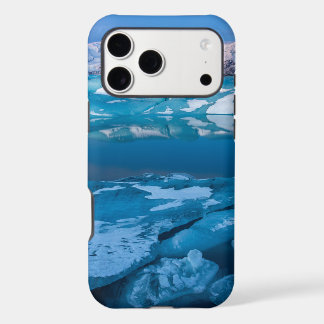 Notre Dame | Emblem Case-Mate 