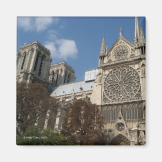 Notre Dame Magnet