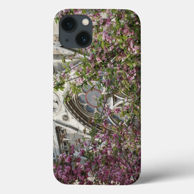 Notre Dame spring Case-Mate iPhone Case (Back)