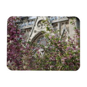 Notre Dame spring Magnet