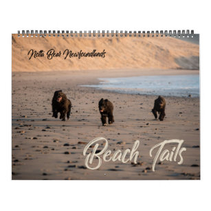 Notta Bear Newfoundlands Oregon Beach Calendar