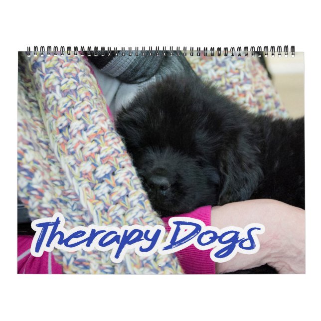 Notta Bear Newfoundlands Therapy Dogs Calendar (Cover)