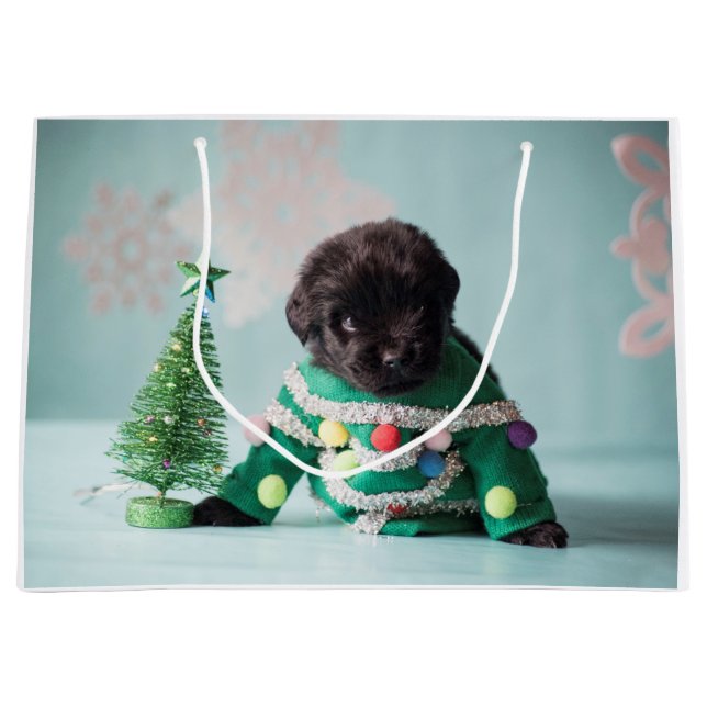 Notta Bear Puppy Gift Bag (Front)