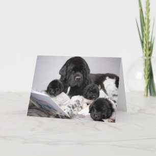Notta Bear Puppy Greeting Card