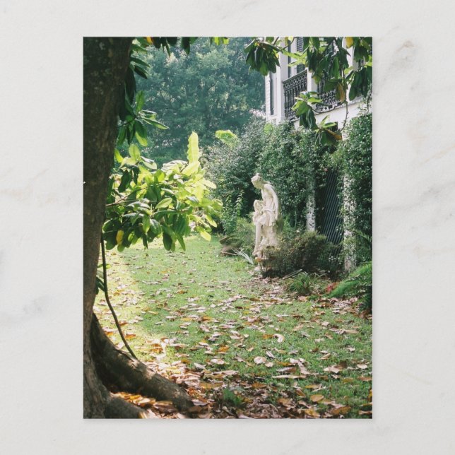 Nottoway Plantation Postcard (Front)