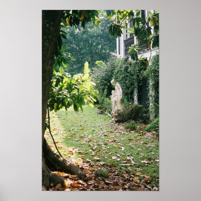 Nottoway Plantation Print (Front)