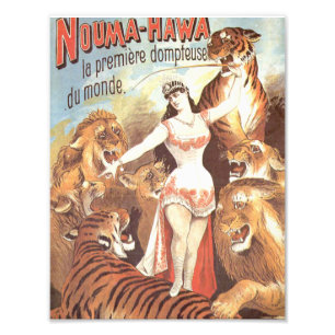 Nouma Hawa's Whispers to Tigers Photo Print