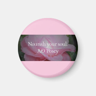 Nourish Your Soul Office Magnet