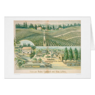 Nouveau Medoc Vineyard and Wine Cellars (1213A)