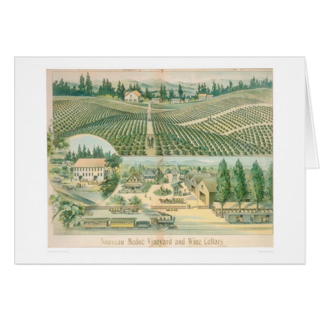 Nouveau Medoc Vineyard and Wine Cellars (1213A) (Front Horizontal)