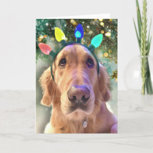 Nova Girl's Christmas Lights- Golden Retriever Dog Holiday Card