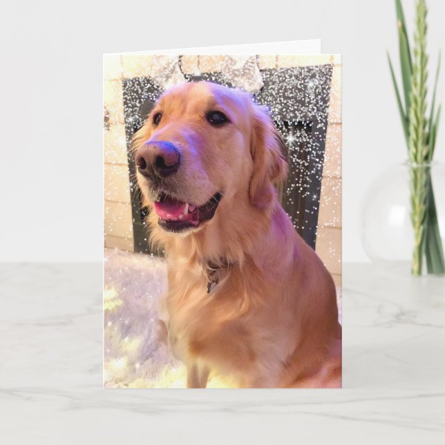 Nova Girl's Merry and Bright  - Golden Retriever Holiday Card (Front)