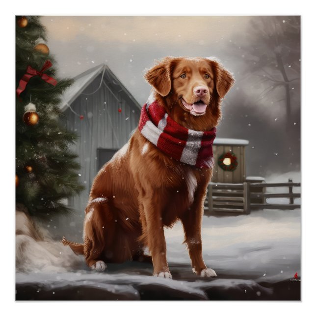 Nova Scotia Duck Toller Dog in Snow Christmas Poster (Front)