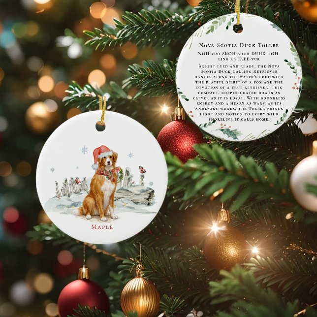 Nova Scotia Duck Toller Dog Monogram Ceramic Tree Decoration (Creator Uploaded)