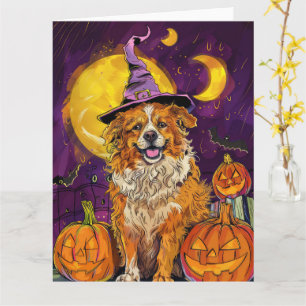 Nova Scotia Duck Toller Halloween Witch Pumpkin Card