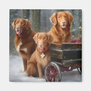 Nova Scotia Duck Toller Retriever Snowy Sleigh Magnet