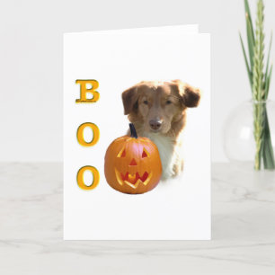 Nova Scotia Duck Tolling Boo Card