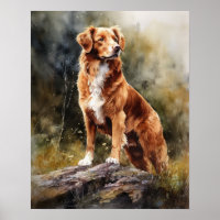 Nova Scotia Duck Tolling Retrieve Dog Art Poster