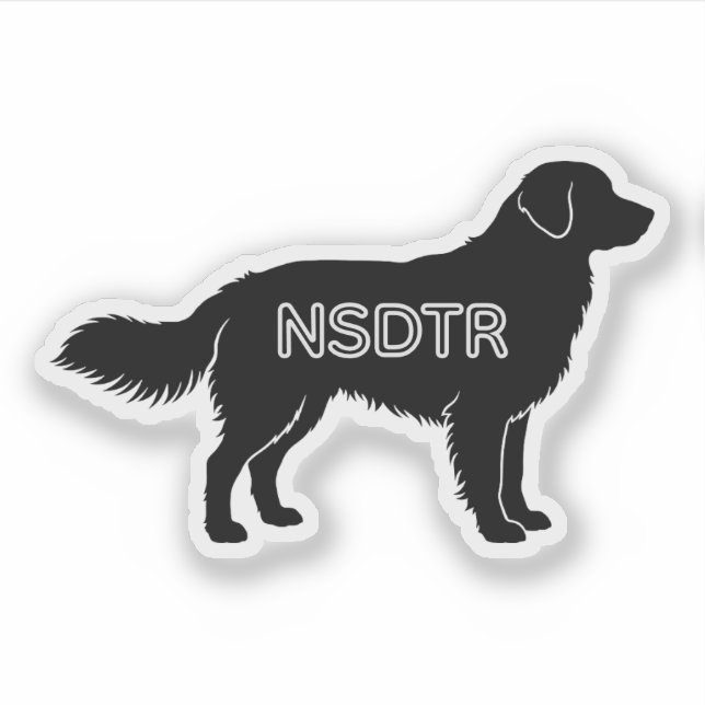 Nova Scotia Duck Tolling Retriever (Front)
