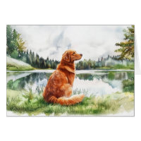 Nova Scotia Duck Tolling Retriever - 5" x 7" Card