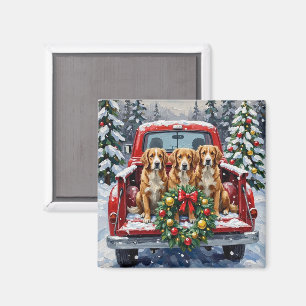 Nova Scotia Duck Tolling Retriever Christmas Red Magnet