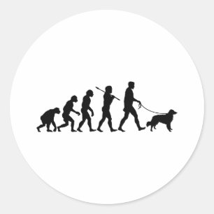 Nova Scotia Duck Tolling Retriever Classic Round Sticker