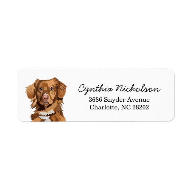 Nova Scotia Duck Tolling Retriever Dog (Front)
