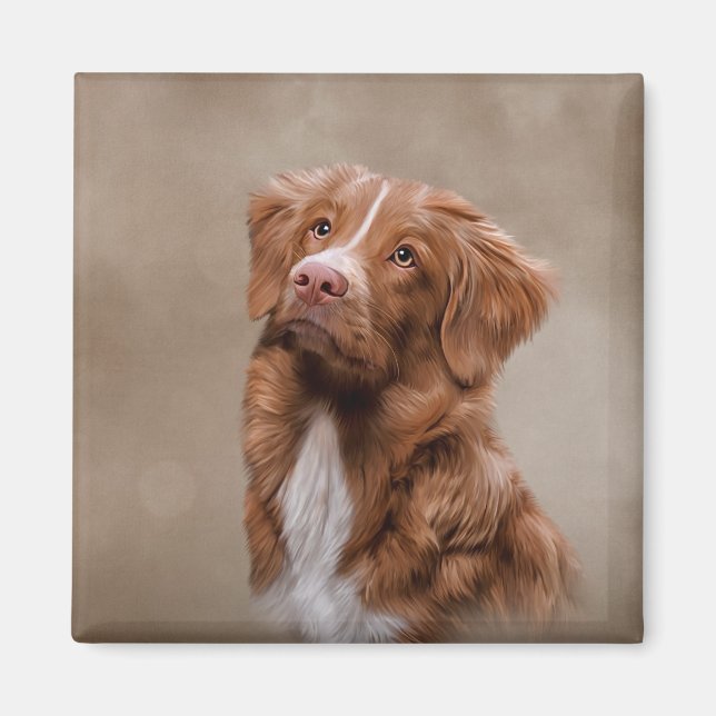 Nova Scotia Duck Tolling Retriever dog Magnet (Front)