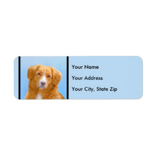 Nova Scotia Duck Tolling Retriever Dog Painting