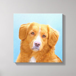 Nova Scotia Duck Tolling Retriever Dog Painting Canvas Print