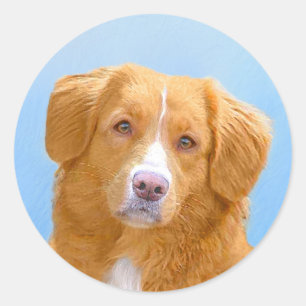 Nova Scotia Duck Tolling Retriever Dog Painting Classic Round Sticker