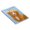 Nova Scotia Duck Tolling Retriever Dog Painting