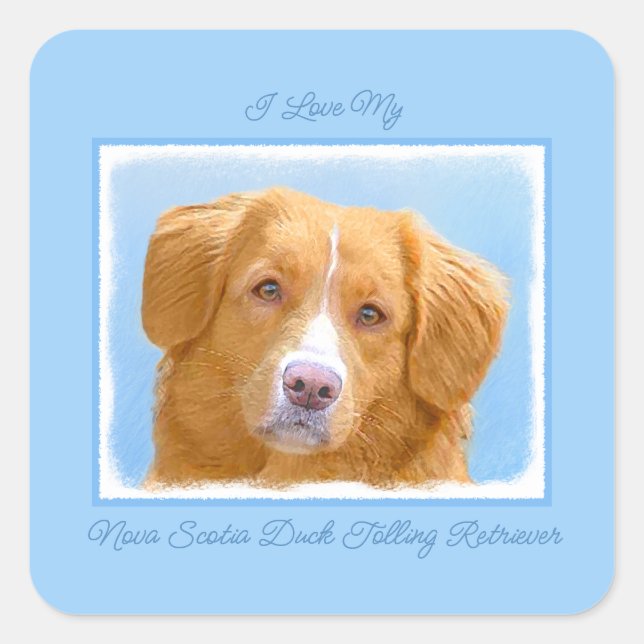 Nova Scotia Duck Tolling Retriever Dog Painting Sq Square Sticker (Front)