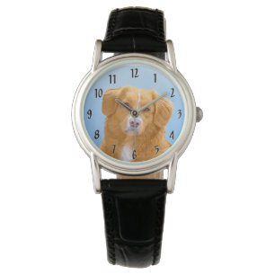 Nova Scotia Duck Tolling Retriever Dog Painting Watch
