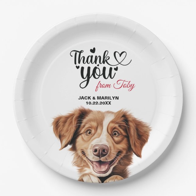 Nova Scotia Duck Tolling Retriever Dog Paper Plate (Front)
