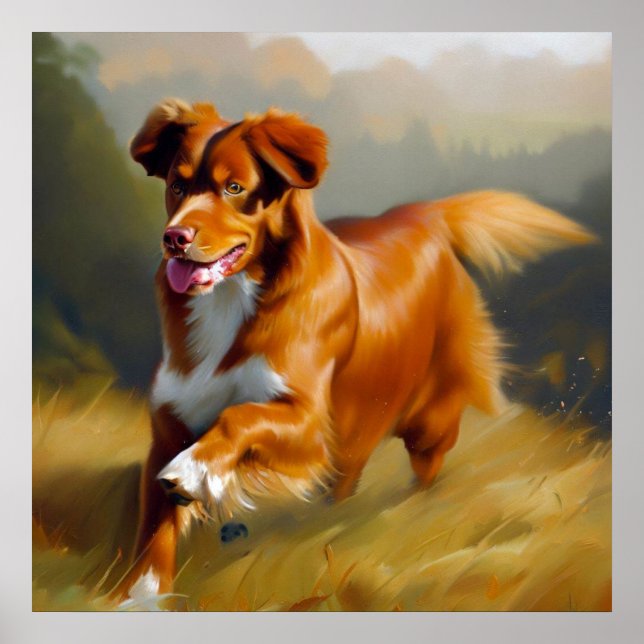 Nova Scotia Duck-Tolling Retriever Dog Poster (Front)