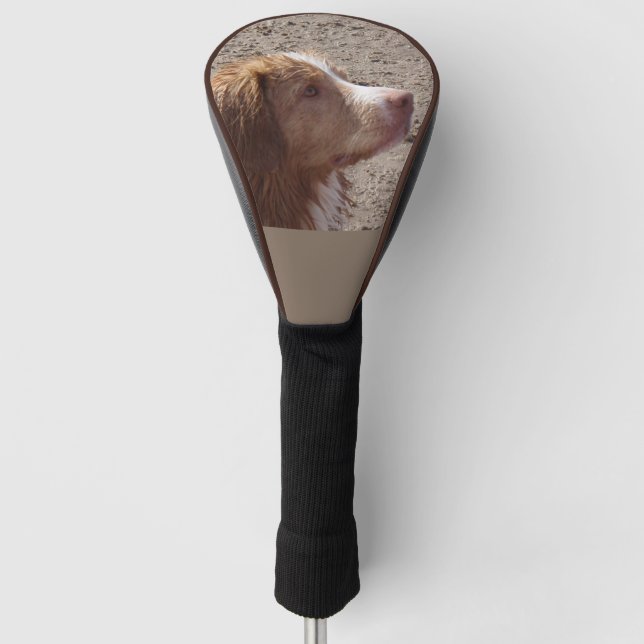 Nova_Scotia_Duck_Tolling_Retriever Golf Head Cover (Front)