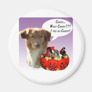 Nova Scotia Duck Tolling Retriever Halloween Candy Magnet