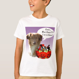 Nova Scotia Duck Tolling Retriever Halloween Candy T-Shirt